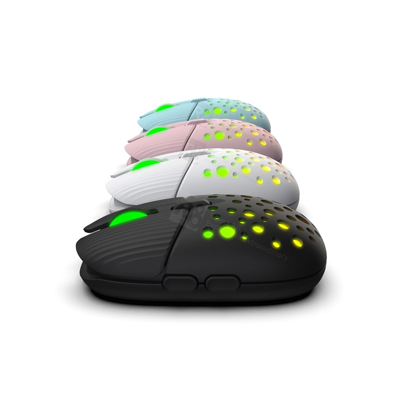 FASHION MOUSE R8 1717