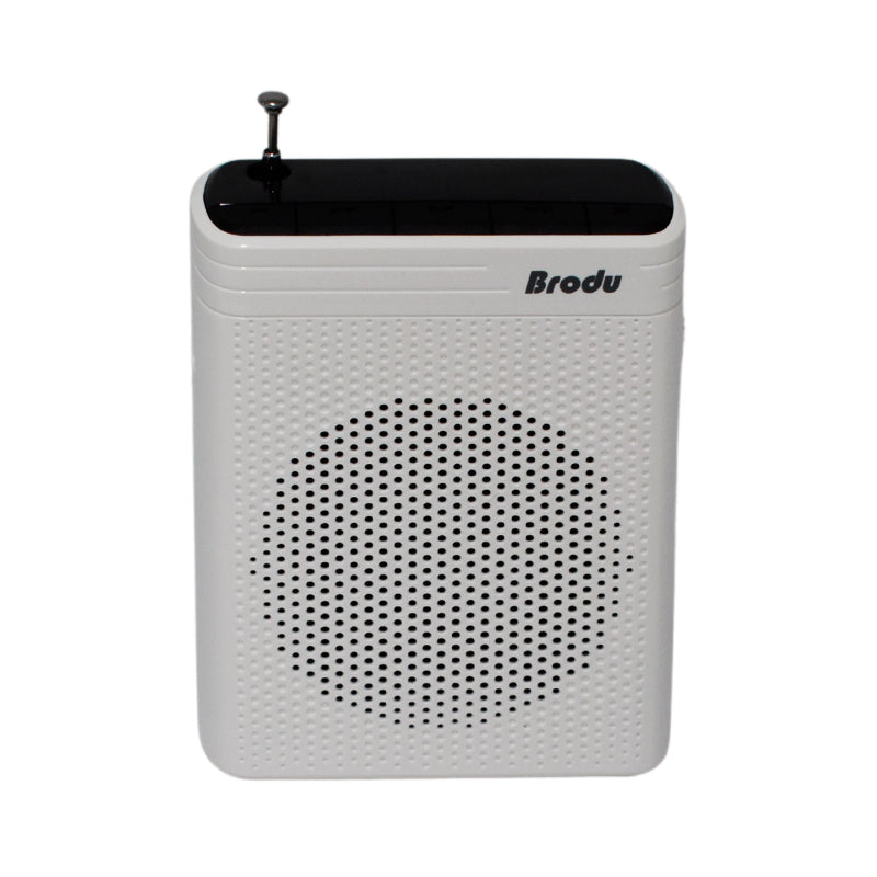 Brodu Wireless Microphone Professional P.A Speaker BTS-1383