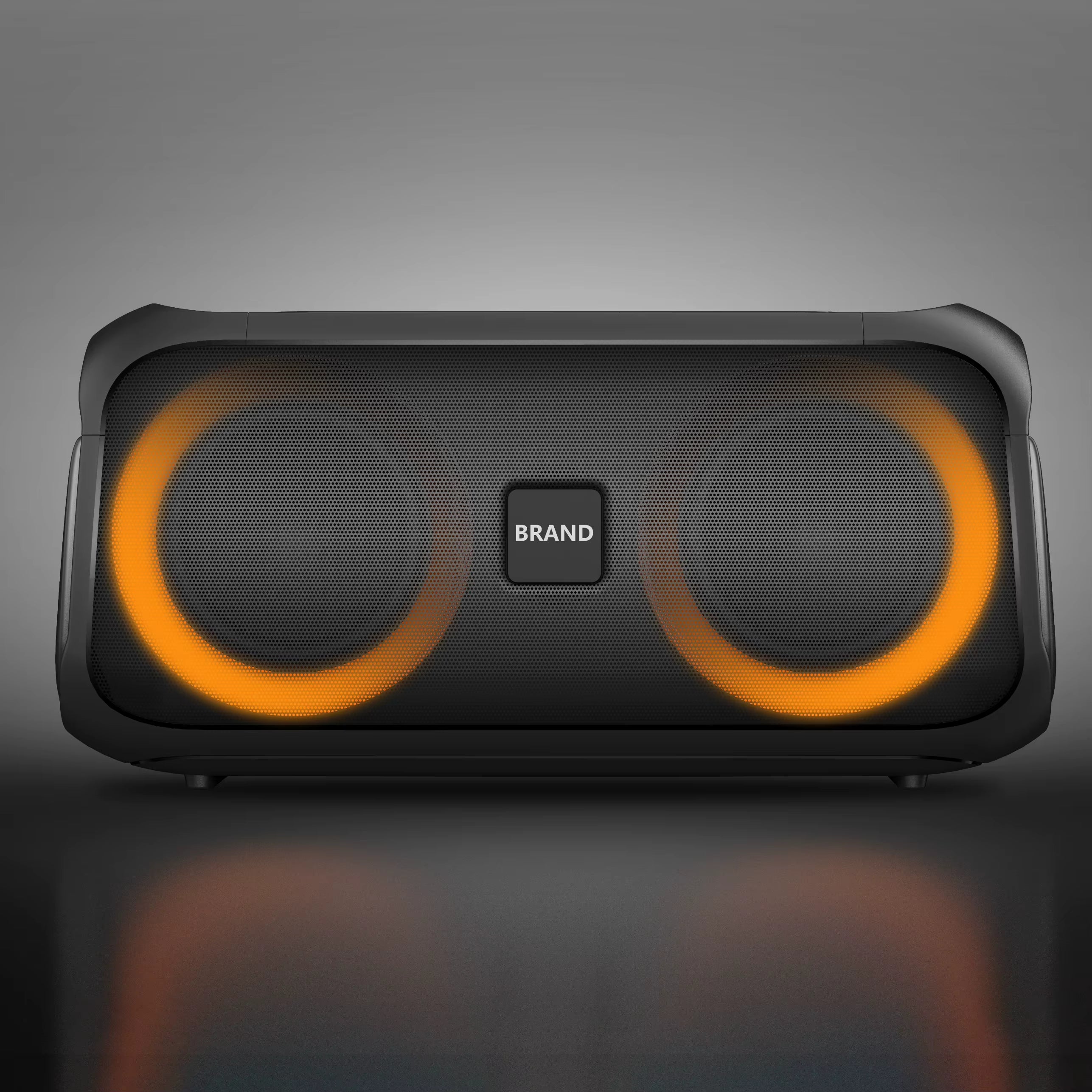 Rechargeable Speaker System 6.5'' AO-V605