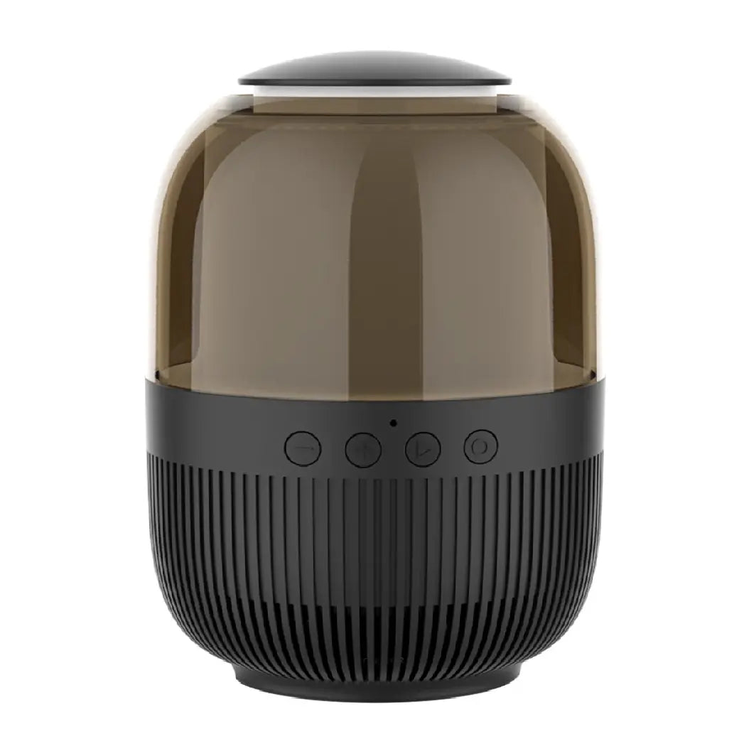 Ravpower LumiBeats RGB Wireless Speaker RP-SK006