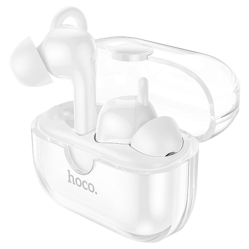 Hoco Dual MIc IN Stylish Clear Case - EW22