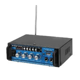 Professional Digital Power Amplifier BT-188A