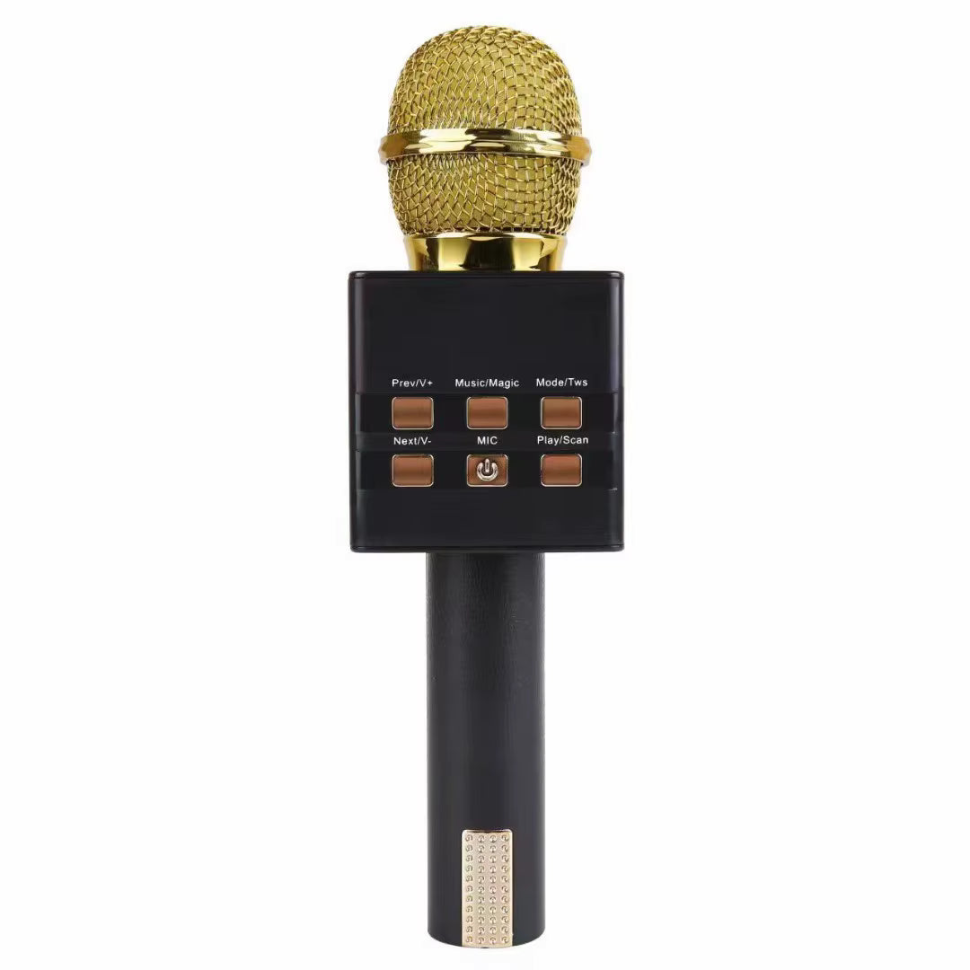 Hoco Karaoke Speaker Microphone-MC871
