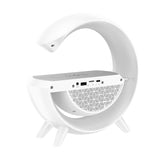 Hoco 3 in 1 Rice Sound Wireless Speaker DS43
