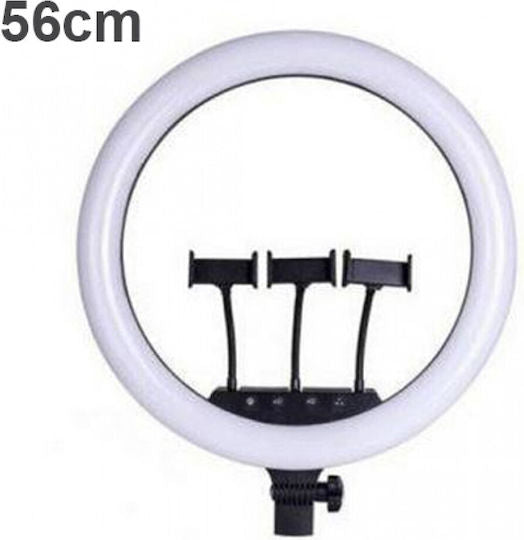 RING FILL LIGHT LJJ-56